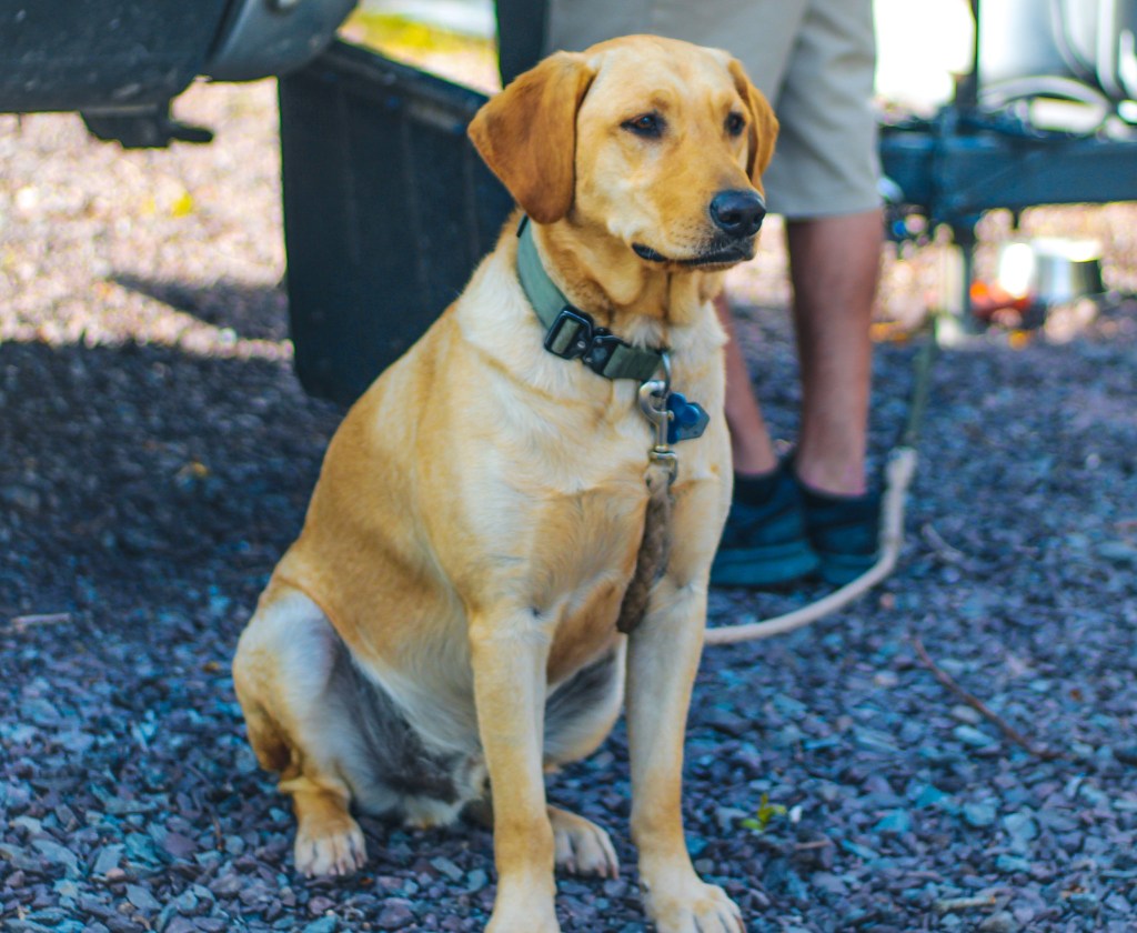 Pennsylvania Part Two