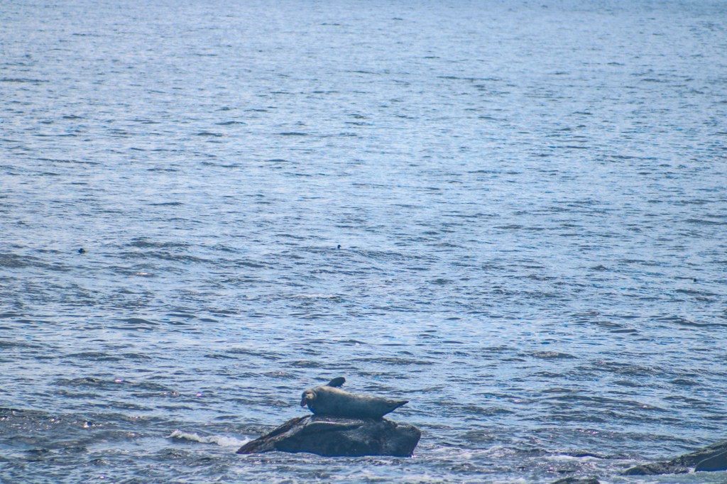 Cape Breton, Nova Scotia Part&nbsp;Two