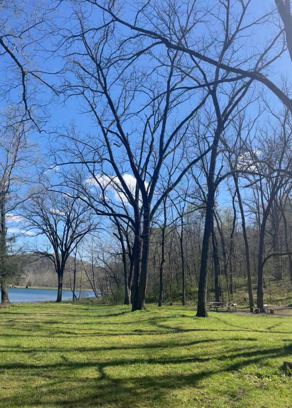 Missouri- McCormack Lake
