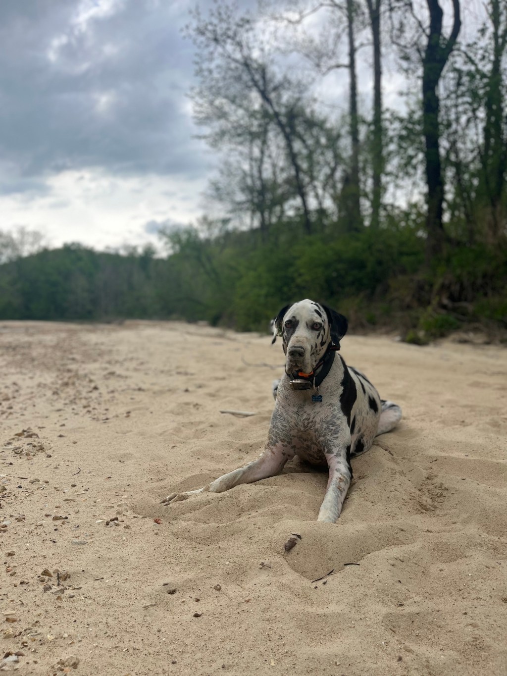 Missouri- Rippee Conservation&nbsp;Area