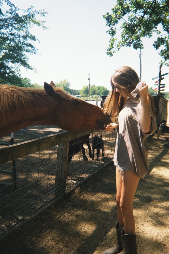 Women feeding horse and things to do at the strawberry patch in Maysville, South Carolina by Adventurous Leila, travel blogger.