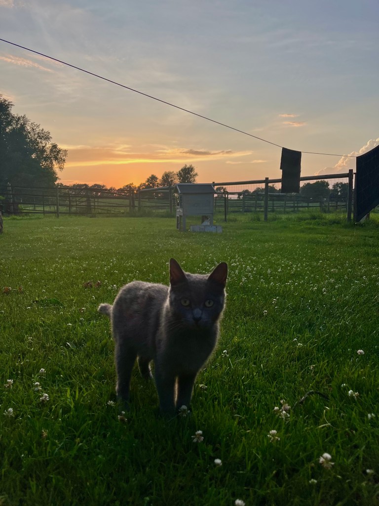 Travel family visiting friends in Michigan by Adventurous Leila.