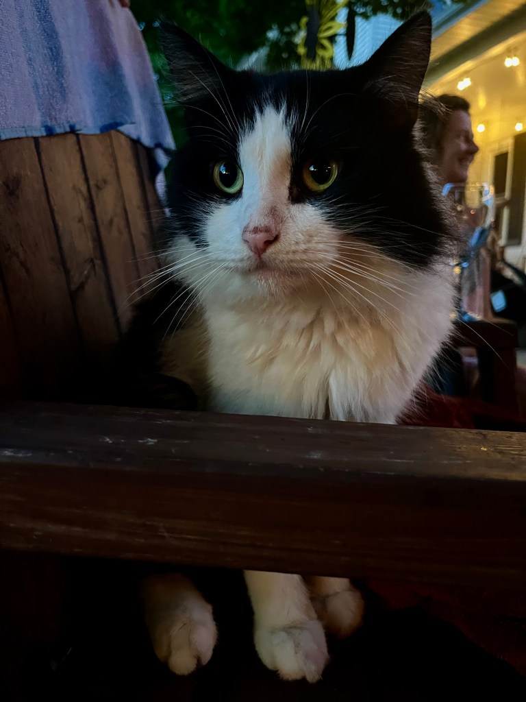 Travel family visiting friends in Michigan by Adventurous Leila.