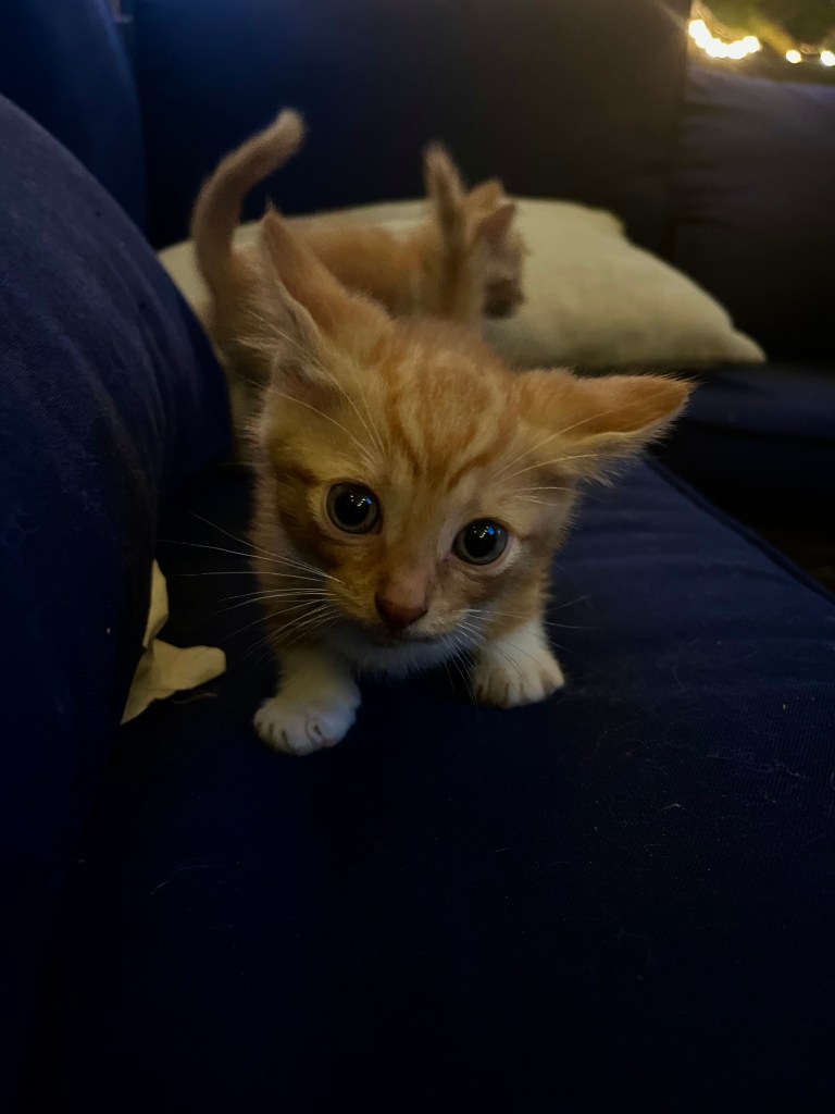 Travel family visiting friends in Michigan by Adventurous Leila.