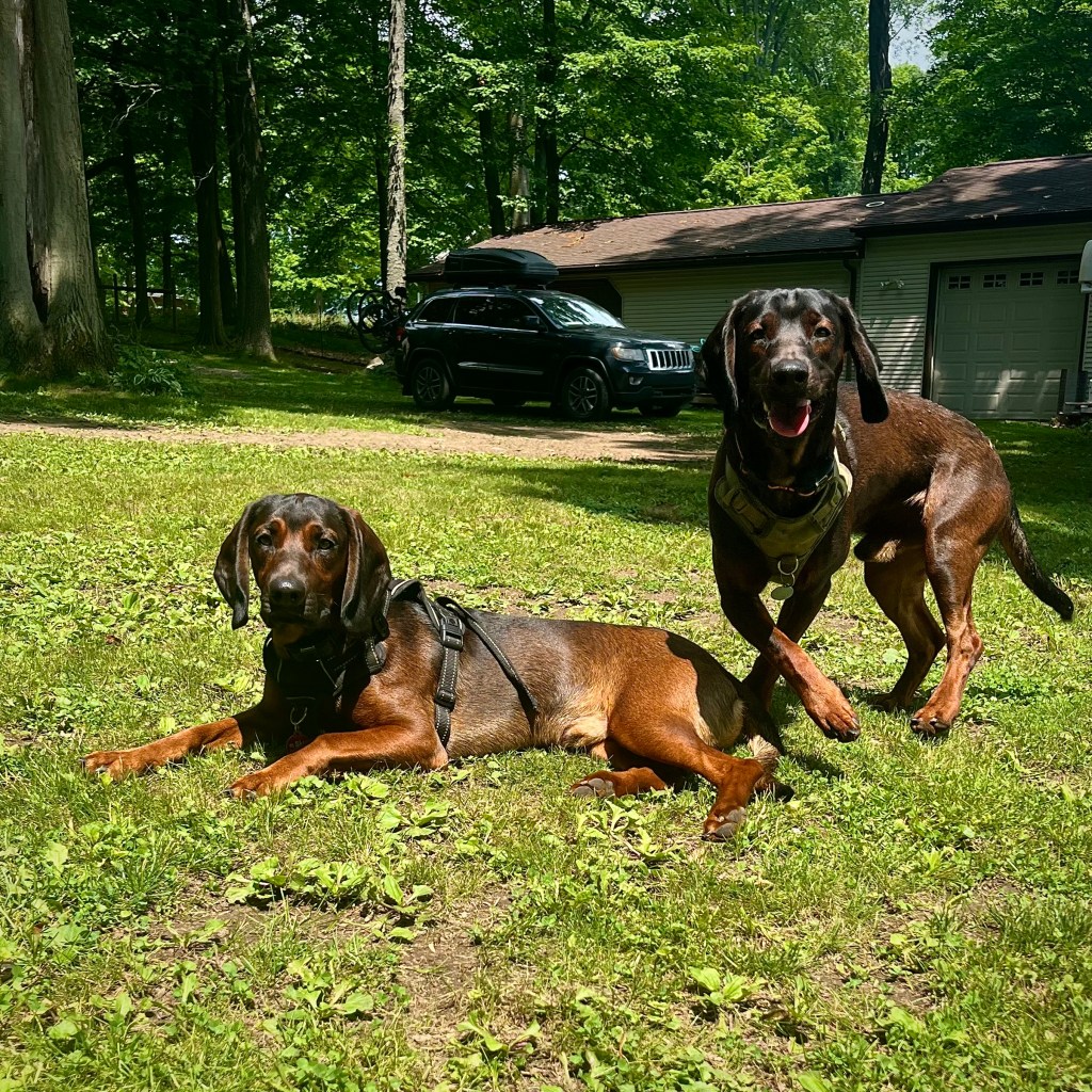 Travel family visiting friends in Michigan by Adventurous Leila.