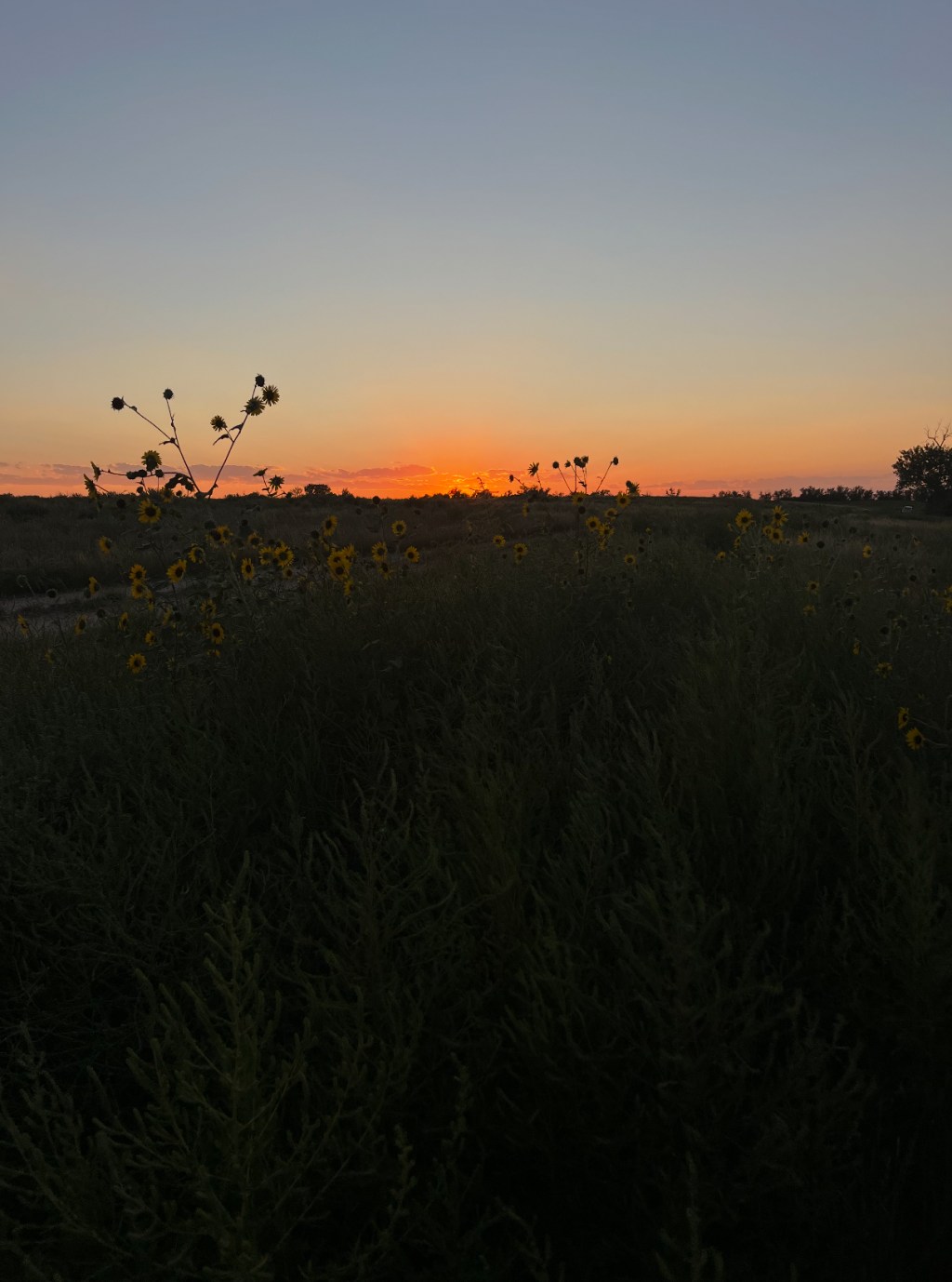 Beautiful sunset. Adventurous Leila.