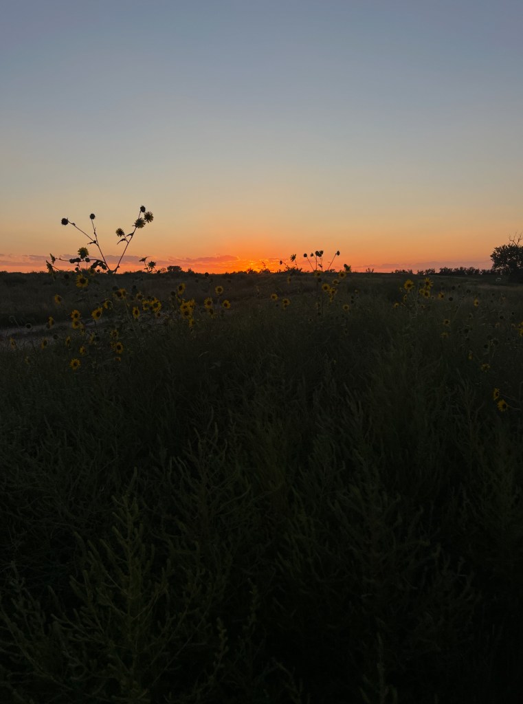 Beautiful sunset. Adventurous Leila.
